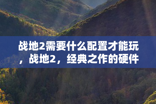 战地2需要什么配置才能玩，战地2，经典之作的硬件需求