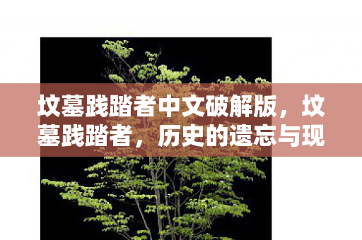 坟墓践踏者中文破解版，坟墓践踏者，历史的遗忘与现实的反思