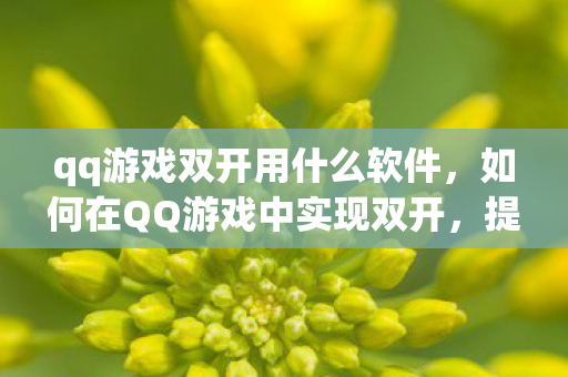 qq游戏双开用什么软件，如何在QQ游戏中实现双开，提升游戏效率与乐趣的实用技巧