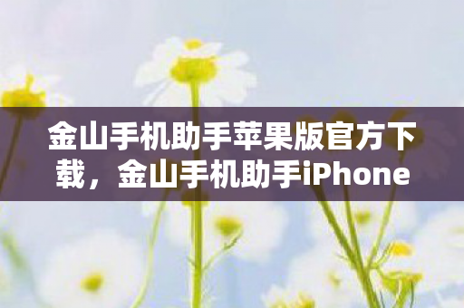 金山手机助手苹果版官方下载，金山手机助手iPhone版，打造高效便捷的移动设备管理新体验