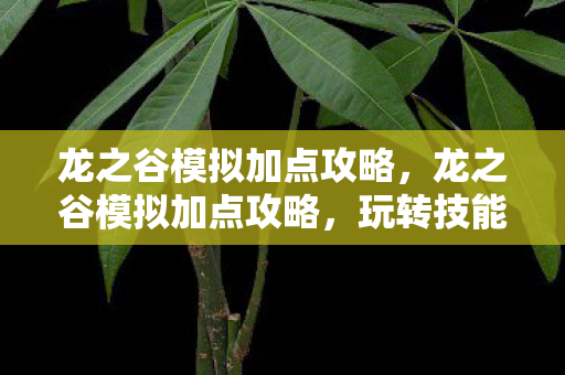 龙之谷模拟加点攻略，龙之谷模拟加点攻略，玩转技能配置，成为真正的谷界大师！