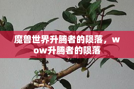魔兽世界升腾者的陨落，wow升腾者的陨落