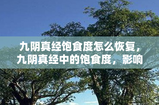 九阴真经饱食度怎么恢复，九阴真经中的饱食度，影响角色状态与游戏策略
