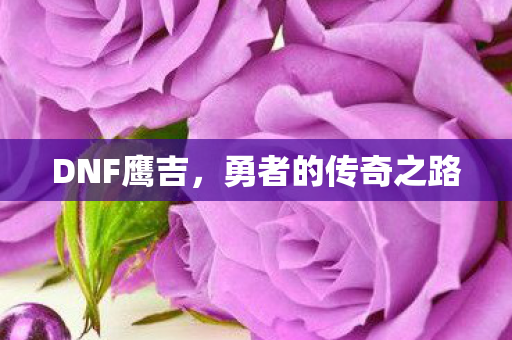 DNF鹰吉，勇者的传奇之路