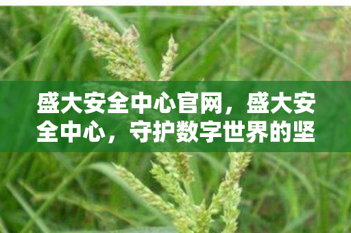 盛大安全中心官网，盛大安全中心，守护数字世界的坚固防线