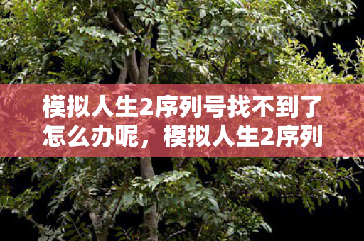 模拟人生2序列号找不到了怎么办呢，模拟人生2序列号，解锁游戏世界的钥匙