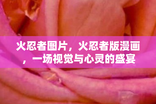 一场视觉与心灵的盛宴图片