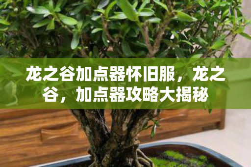 龙之谷加点器怀旧服，龙之谷，加点器攻略大揭秘