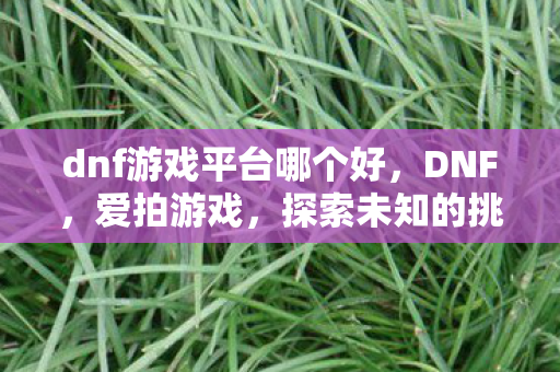 dnf游戏平台哪个好，DNF，爱拍游戏，探索未知的挑战