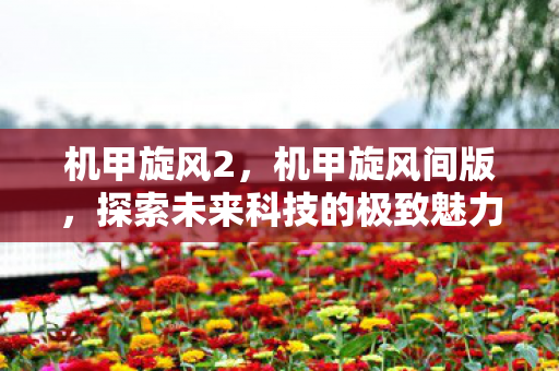 机甲旋风2，机甲旋风间版，探索未来科技的极致魅力