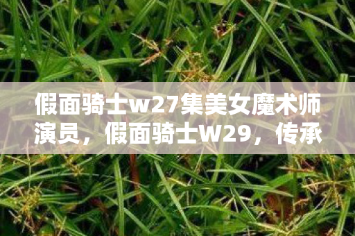 假面骑士w27集美女魔术师演员，假面骑士W29，传承与变革的骑士传奇