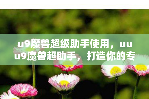 u9魔兽超级助手使用，uuu9魔兽超助手，打造你的专属魔兽游戏体验