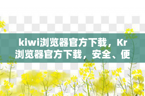kiwi浏览器官方下载，Kr浏览器官方下载，安全、便捷的上网新选择