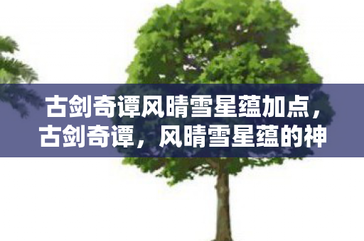 古剑奇谭风晴雪星蕴加点，古剑奇谭，风晴雪星蕴的神秘之旅