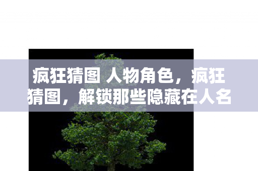 疯狂猜图 人物角色，疯狂猜图，解锁那些隐藏在人名中的深意