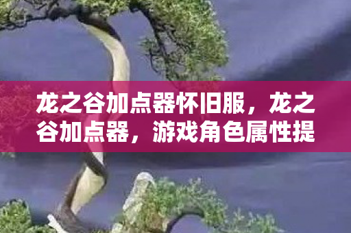 龙之谷加点器怀旧服，龙之谷加点器，游戏角色属性提升的全面解析