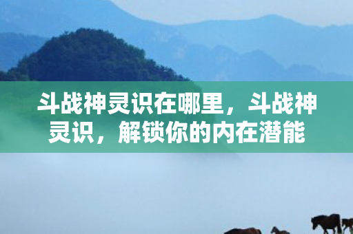 斗战神灵识在哪里，斗战神灵识，解锁你的内在潜能
