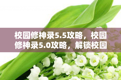 校园修神录5.5攻略，校园修神录5.0攻略，解锁校园传奇，成就修神之路