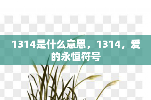1314是什么意思，1314，爱的永恒符号