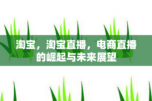 淘宝，淘宝直播，电商直播的崛起与未来展望