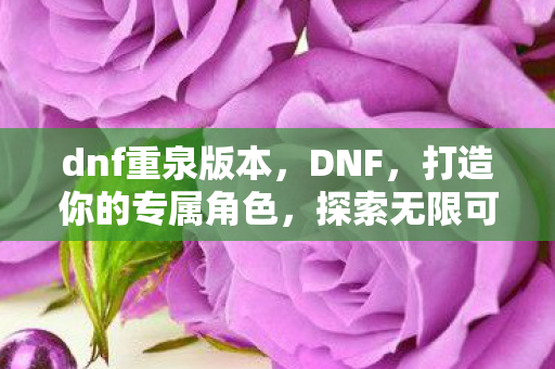 dnf重泉版本，DNF，打造你的专属角色，探索无限可能