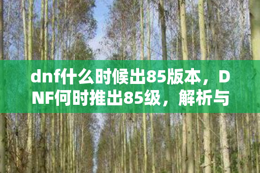 dnf什么时候出85版本，DNF何时推出85级，解析与期待