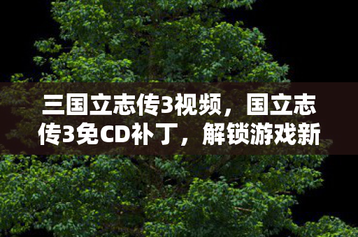 三国立志传3视频，国立志传3免CD补丁，解锁游戏新体验，但需注意法律风险