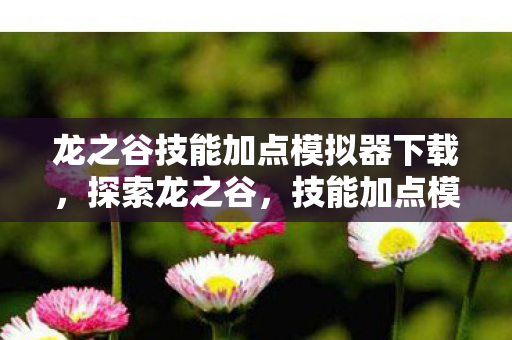 龙之谷技能加点模拟器下载，探索龙之谷，技能加点模拟器的深度解析