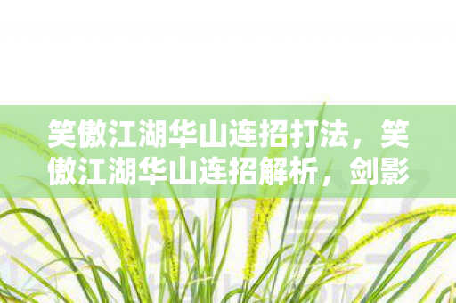 笑傲江湖华山连招打法图片