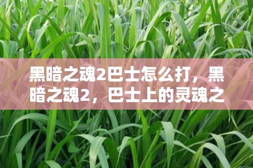 黑暗之魂2巴士怎么打,黑暗之魂2,巴士上的灵魂之旅 黑暗之魂2巴士怎么打,黑暗之魂2,巴士上的灵魂之旅
