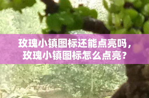 玫瑰小镇图标还能点亮吗，玫瑰小镇图标怎么点亮？