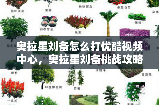 奥拉星刘备怎么打优酷视频中心，奥拉星刘备挑战攻略，策略与技巧详解