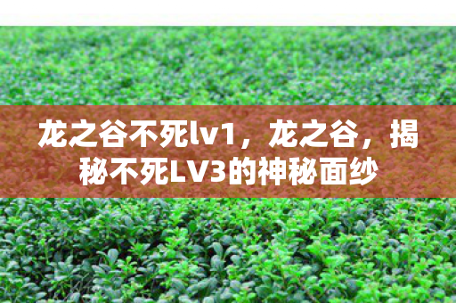 龙之谷不死lv1，龙之谷，揭秘不死LV3的神秘面纱