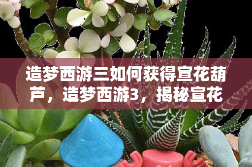 造梦西游三如何获得宣花葫芦，造梦西游3，揭秘宣花袍的获取方法