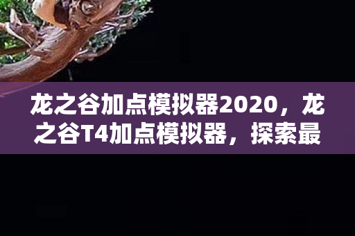 龙之谷加点模拟器2020，龙之谷T4加点模拟器，探索最佳技能配置之路