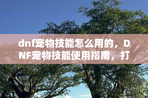 dnf宠物技能怎么用的，DNF宠物技能使用指南，打造最强战斗伙伴