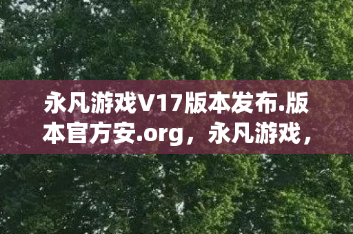永凡游戏V17版本发布图片