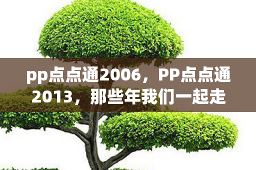 pp点点通2006，PP点点通2013，那些年我们一起走过的互联网时光