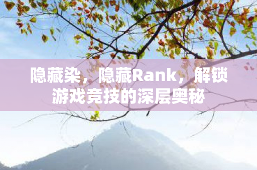 隐藏染，隐藏Rank，解锁游戏竞技的深层奥秘