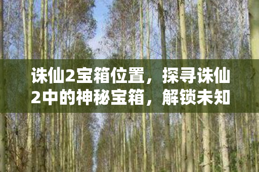 诛仙2宝箱位置，探寻诛仙2中的神秘宝箱，解锁未知与惊喜的冒险之旅