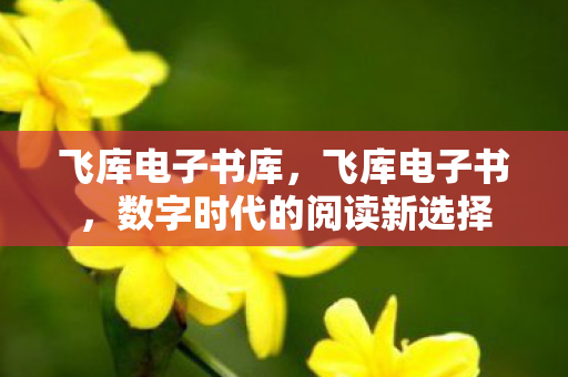 飞库电子书库，飞库电子书，数字时代的阅读新选择