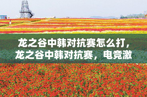 龙之谷中韩对抗赛怎么打，龙之谷中韩对抗赛，电竞激情碰撞，谁将成为最后的荣耀王者？