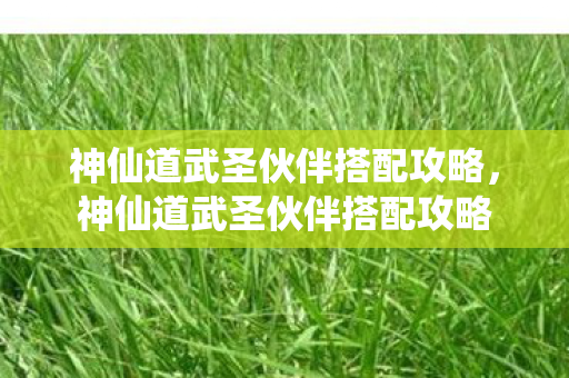 神仙道武圣伙伴搭配攻略,神仙道武圣伙伴搭配攻略 神仙道武圣伙伴搭配攻略,神仙道武圣伙伴搭配攻略