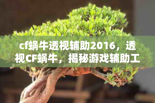 cf蜗牛透视辅助2016，透视CF蜗牛，揭秘游戏辅助工具背后的真相