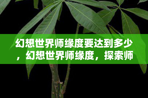 幻想世界师缘度要达到多少，幻想世界师缘度，探索师徒关系的奥秘