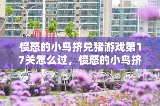 愤怒的小鸟挤兑猪游戏第17关怎么过，愤怒的小鸟挤兑猪，一场虚拟世界的奇妙冒险