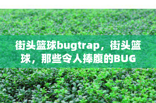 街头篮球bugtrap，街头篮球，那些令人捧腹的BUG