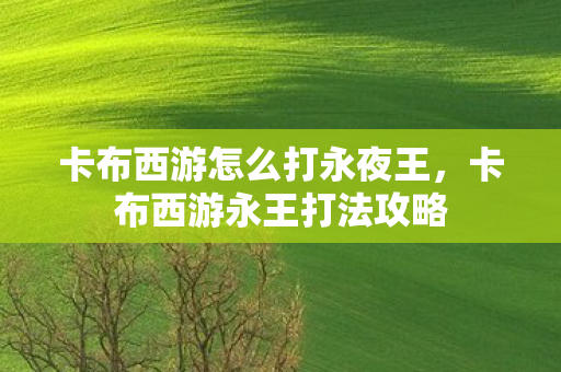 卡布西游怎么打永夜王，卡布西游永王打法攻略