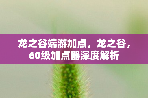 龙之谷端游加点，龙之谷，60级加点器深度解析