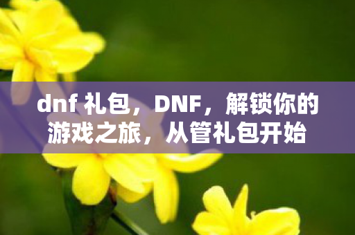 dnf 礼包，DNF，解锁你的游戏之旅，从管礼包开始